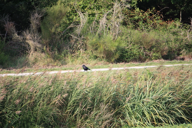 unknownの写真の写真