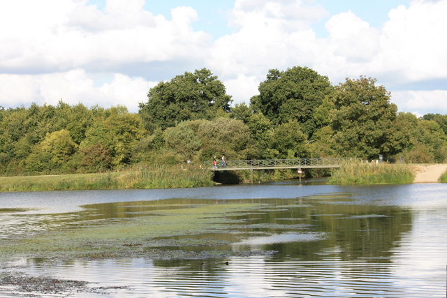 unknownの写真の写真