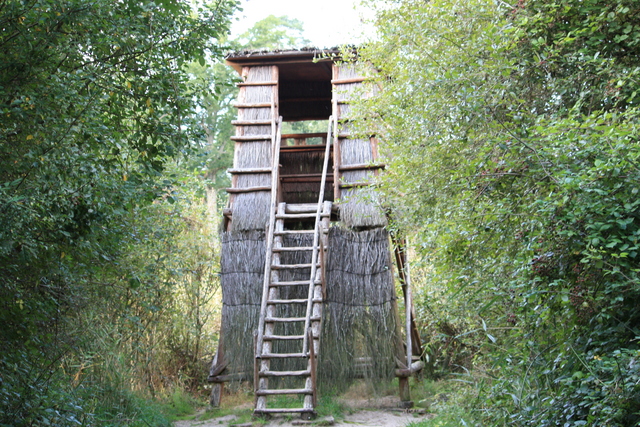 unknownの写真の写真