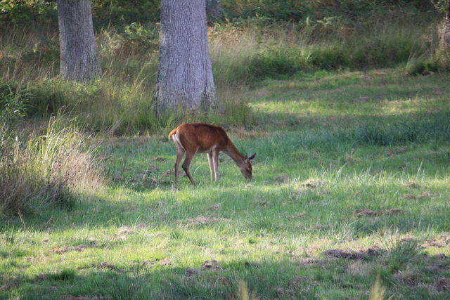 unknownの写真の写真