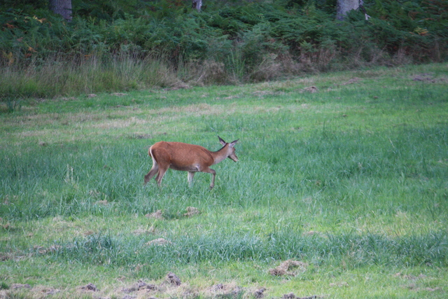 unknownの写真の写真