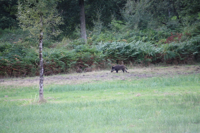 unknownの写真の写真