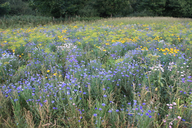 unknownの写真の写真