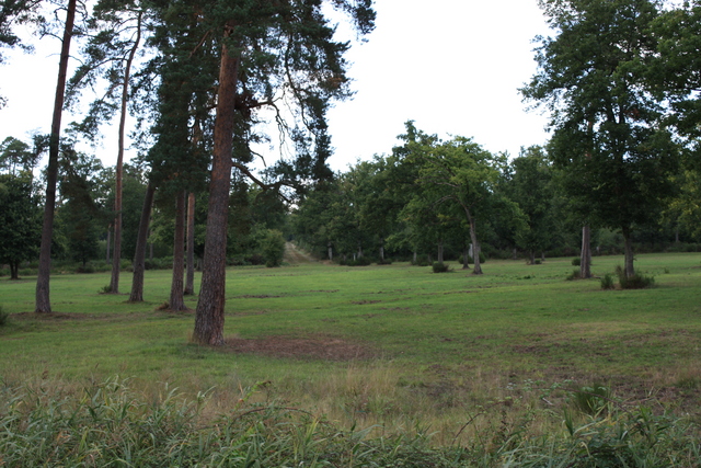 unknownの写真の写真