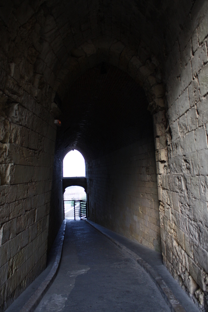 unknownの写真の写真