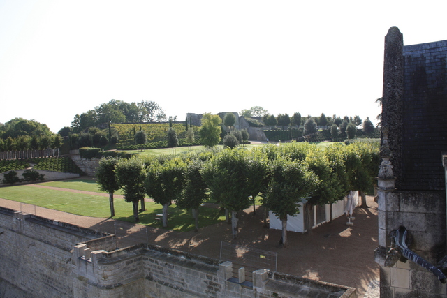 unknownの写真の写真