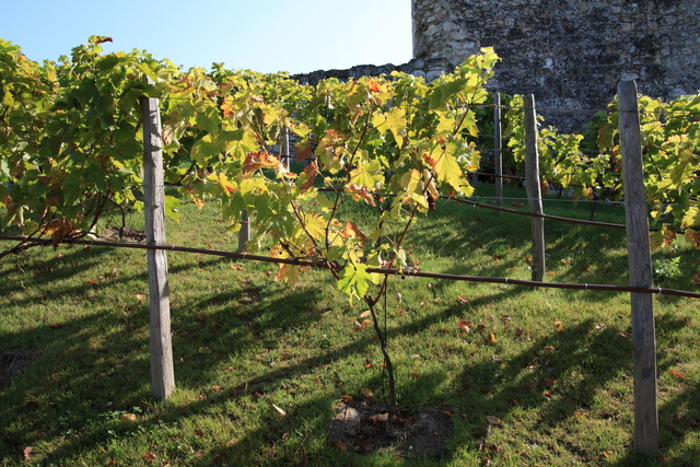 unknownの写真の写真