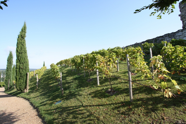 unknownの写真の写真