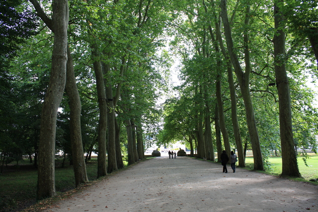 unknownの写真の写真