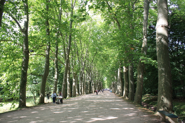 unknownの写真の写真