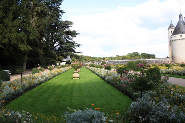 unknownの写真の写真