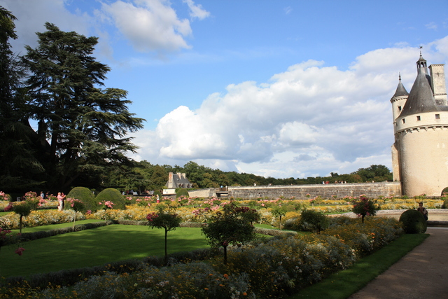 unknownの写真の写真