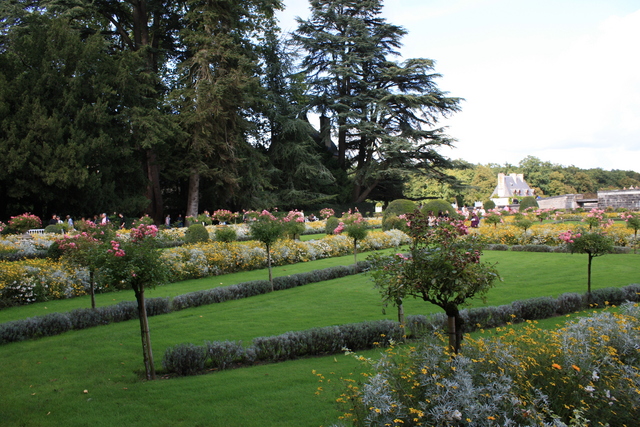 unknownの写真の写真