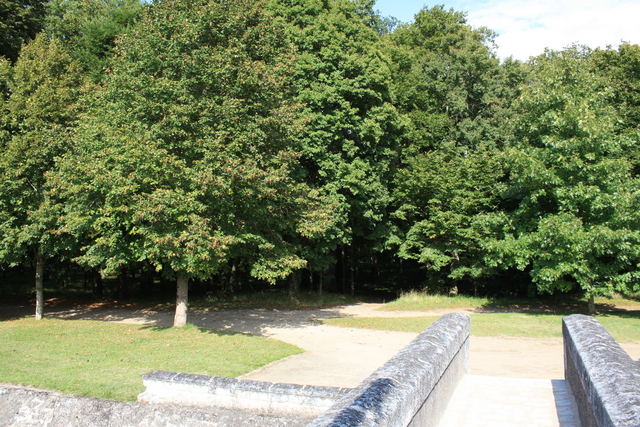 unknownの写真の写真