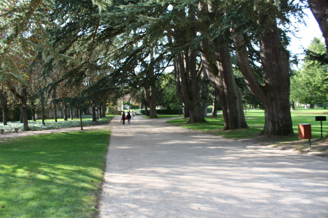 unknownの写真の写真