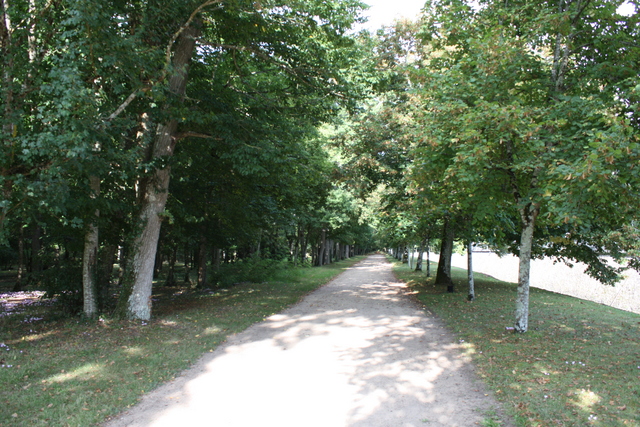 unknownの写真の写真