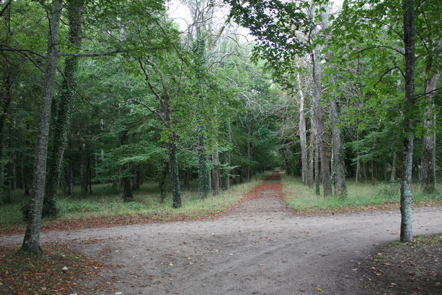 unknownの写真の写真