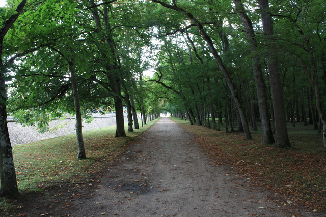 unknownの写真の写真