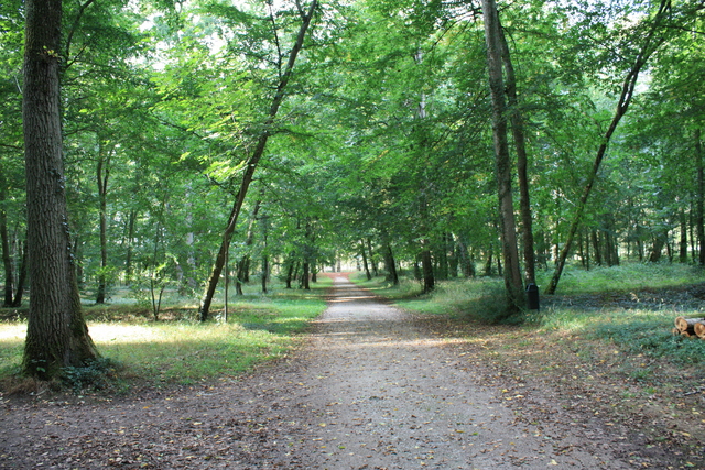 unknownの写真の写真