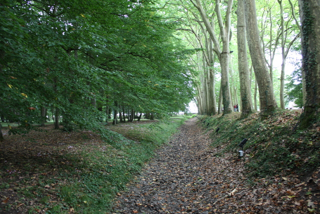 unknownの写真の写真