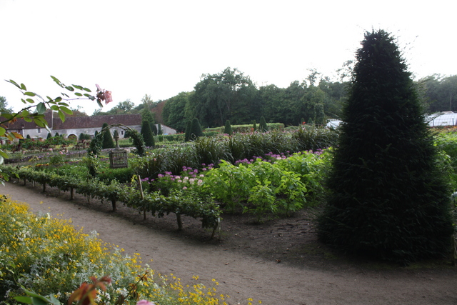 unknownの写真の写真