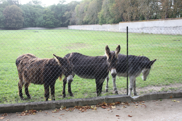 unknownの写真の写真