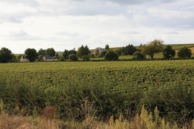 シュノンソーからの帰りの車窓の写真の写真