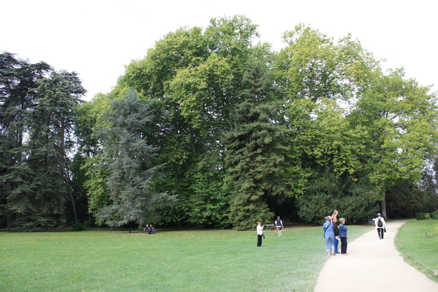 アゼー・ル・リドー城・英国式庭園の写真の写真
