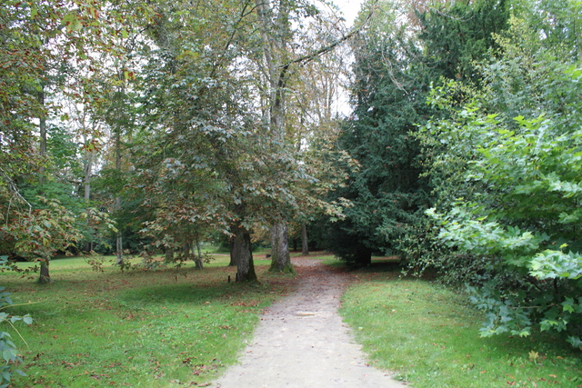 アゼー・ル・リドー城・庭園７の写真の写真