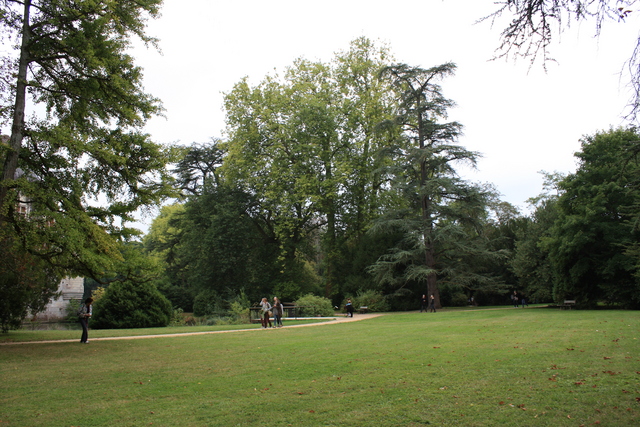 アゼー・ル・リドー城・庭園１６の写真の写真