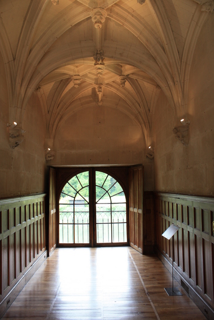 アゼー・ル・リドー城・旧通路の写真の写真