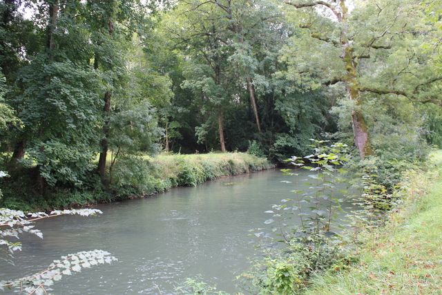 アゼー・ル・リドー城・この辺りは護岸麹がされていないの写真の写真