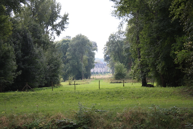 アゼー・ル・リドー城・林は敷地の更に置くまで続くの写真の写真