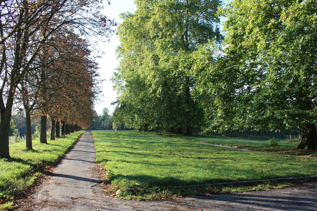 unknownの写真の写真