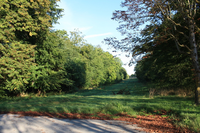 unknownの写真の写真