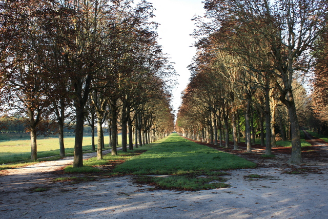 unknownの写真の写真