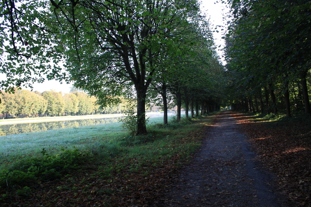 unknownの写真の写真