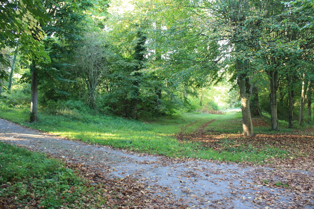 unknownの写真の写真