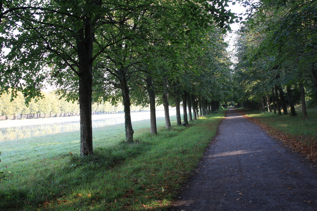 unknownの写真の写真