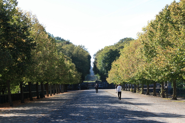 unknownの写真の写真