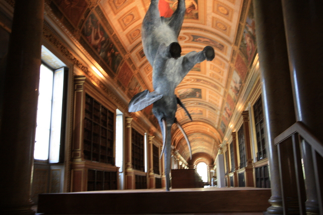 unknownの写真の写真