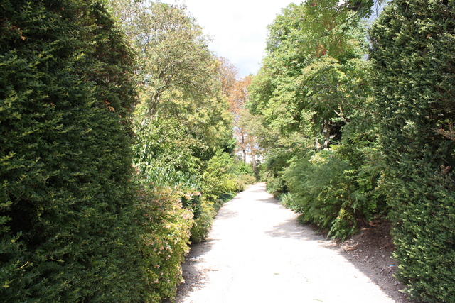 unknownの写真の写真