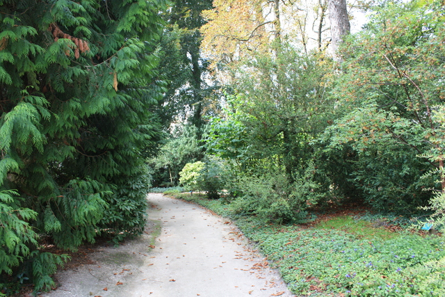 unknownの写真の写真