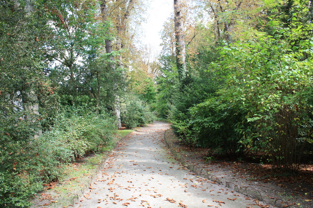 unknownの写真の写真