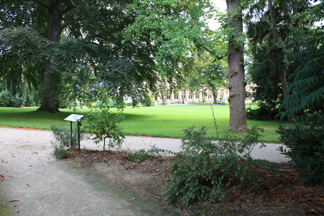 unknownの写真の写真