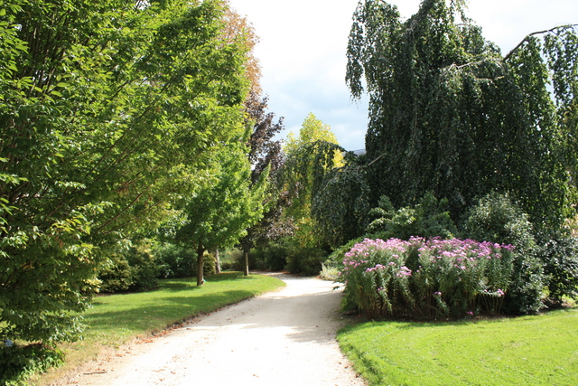 unknownの写真の写真