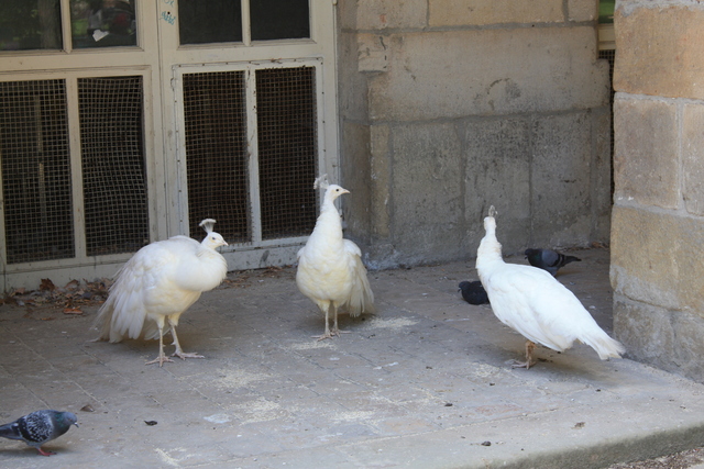 unknownの写真の写真