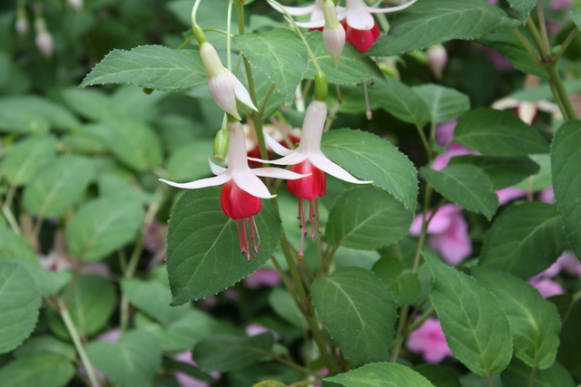 unknownの写真の写真