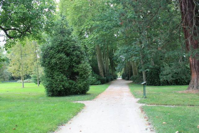 unknownの写真の写真