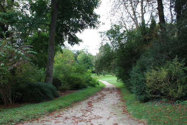 unknownの写真の写真